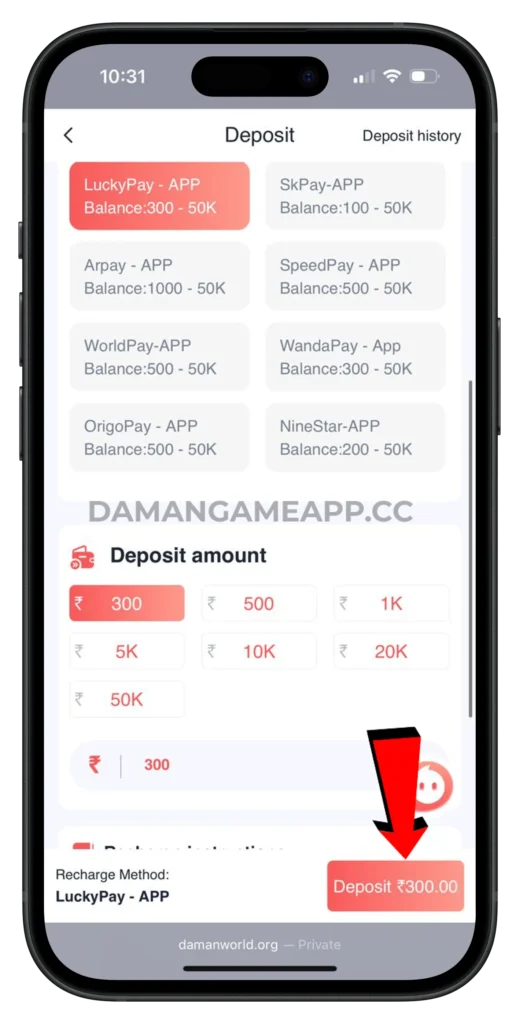 daman-game-deposit-page